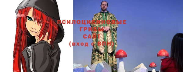 таблы Вяземский