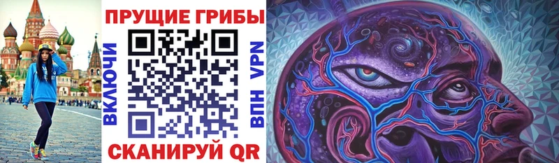 Купить где  Пересвет  Галлюциногенные грибы Psilocybine cubensis 