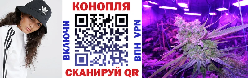Купить закладки  Пересвет  Конопля LSD WEED 
